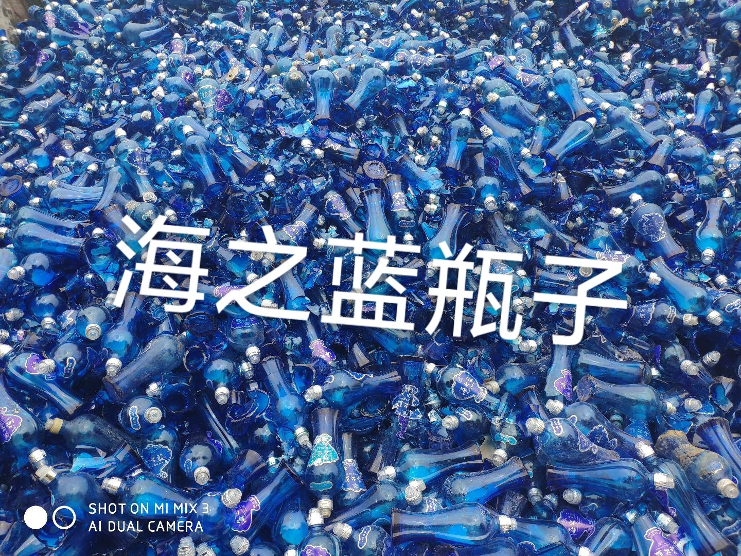 连云区海之蓝瓶回收